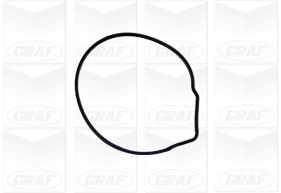 Graf Waterpomp PA676