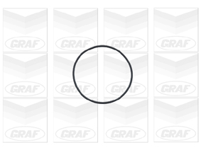 Graf Waterpomp PA696