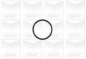 Graf Waterpomp PA717