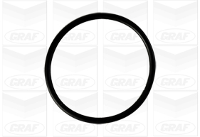 Graf Waterpomp PA806
