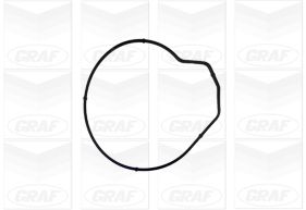 Graf Waterpomp PA855