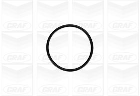 Graf Waterpomp PA879