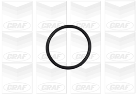 Graf Waterpomp PA886