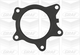 Graf Waterpomp PA890