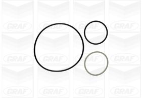 Graf Waterpomp PA900