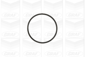 Graf Waterpomp PA941
