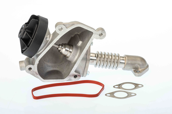 EGR-klep Borgwarner 7206D