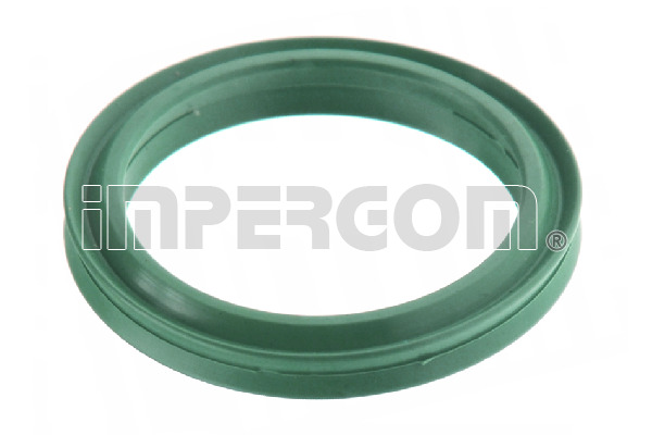 Dichtring, laadluchtslang Original Imperium 230722