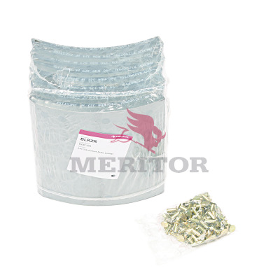 Remtrommel Meritor BLKZR