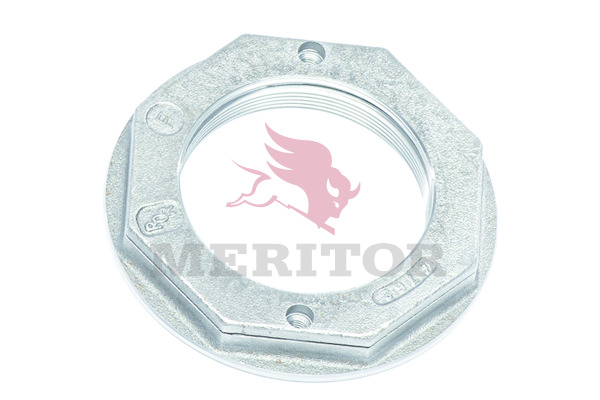 Wielnaaf Meritor 21224762