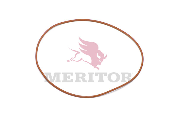 Differentieel pakking Meritor 5X1002