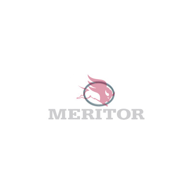 Rem montageset Meritor 21016721