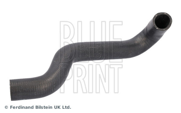 Radiateurslang Blue Print ADBP930017