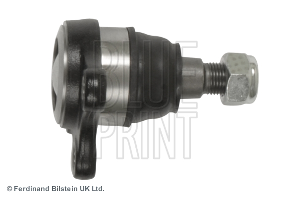Blue Print Fuseekogel ADG086151
