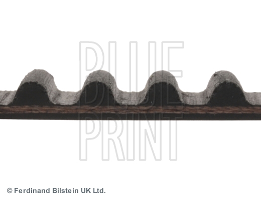 Blue Print Distributieriem ADH27517