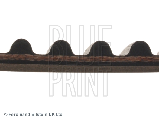 Blue Print Distributieriem ADN17515