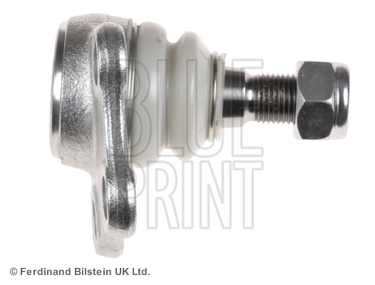 Blue Print Fuseekogel ADZ98631