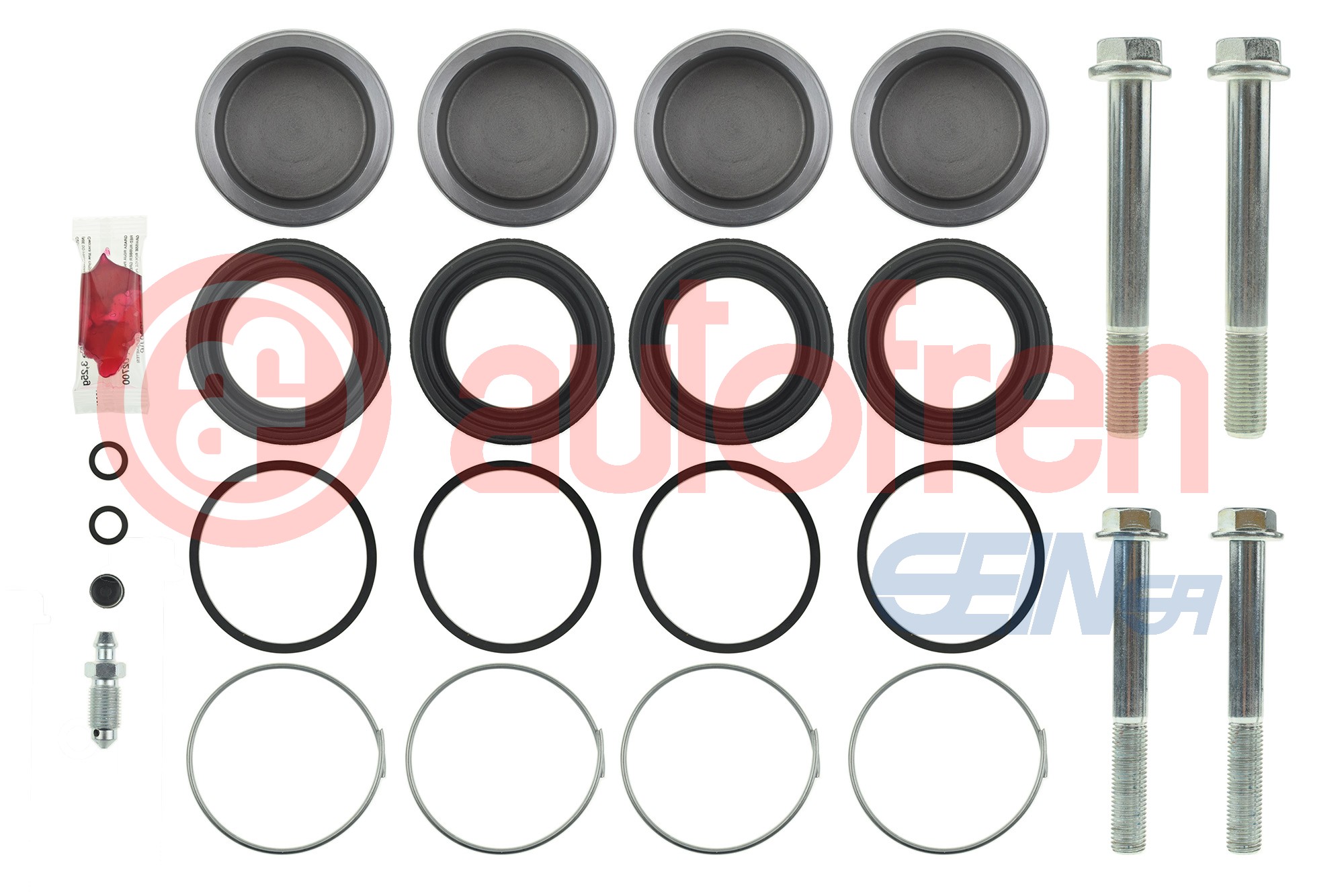 Remklauw revisie Autofren Seinsa D44762S