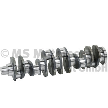 Krukas BF 20051588000