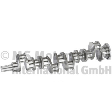 Krukas BF 20051963541