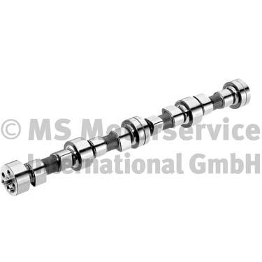 Nokkenas BF 20100208340