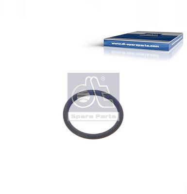 Afdichtring Dt Spare Parts 1.24313