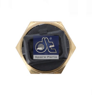 Dt Spare Parts Buitentemperatuur sensor 2.27028
