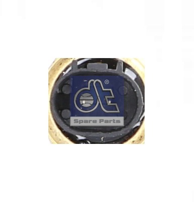 Dt Spare Parts Temperatuursensor 4.66663