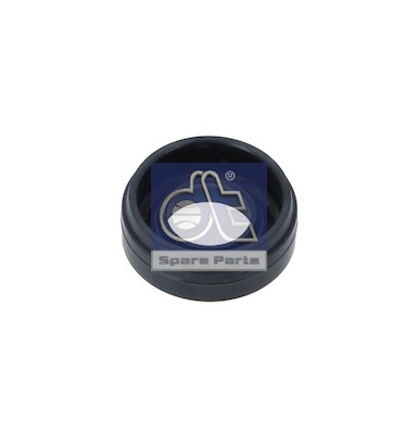 Dt Spare Parts Terugslagklep 5.70248