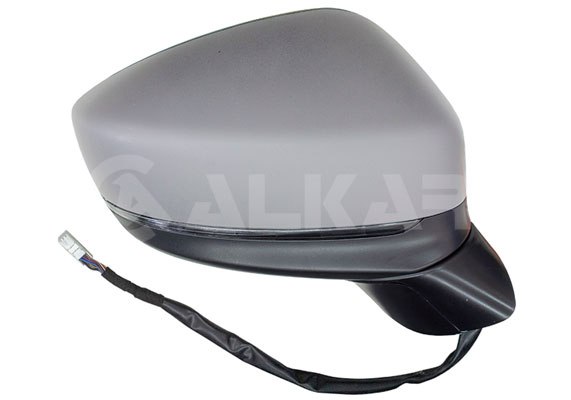 Buitenspiegel Alkar 6146738