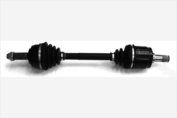 Aandrijfas Depa 3387000