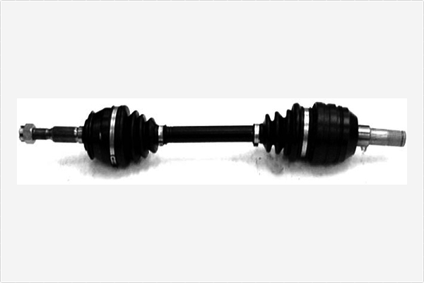 Aandrijfas Depa 3335053