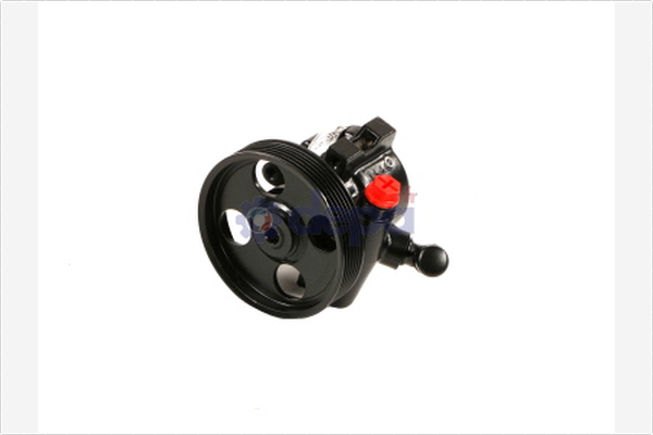 Servopomp Depa PA112