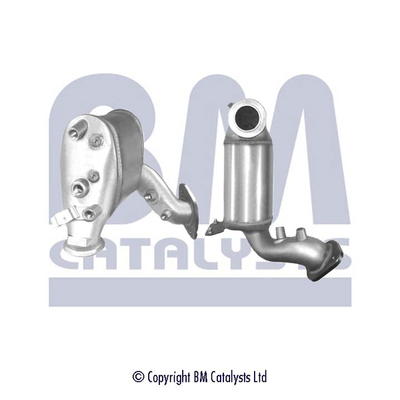 Roetfilter Bm Catalysts BM11113