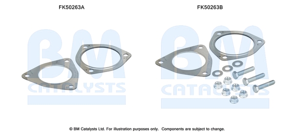 Uitlaat montageset Bm Catalysts FK50263