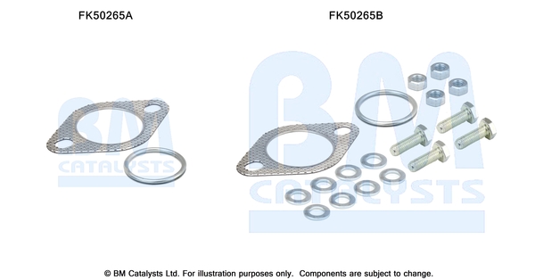 Uitlaat montageset Bm Catalysts FK50265