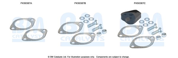 Uitlaat montageset Bm Catalysts FK50387