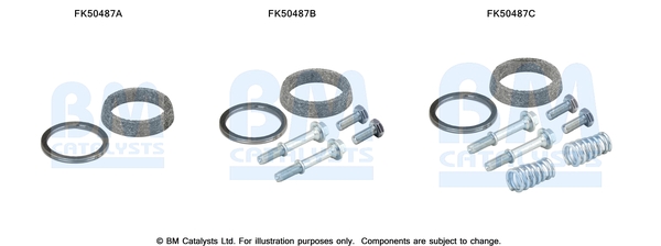 Uitlaat montageset Bm Catalysts FK50487