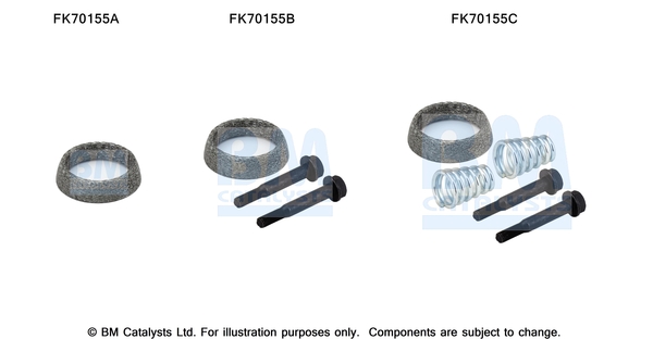 Uitlaat montageset Bm Catalysts FK70155