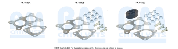 Uitlaat montageset Bm Catalysts FK70442