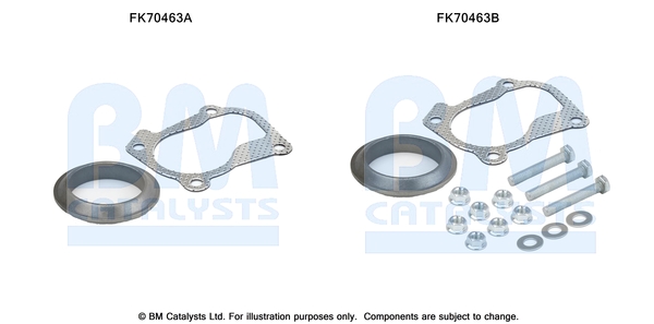 Uitlaat montageset Bm Catalysts FK70463