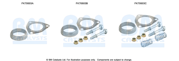 Uitlaat montageset Bm Catalysts FK70603