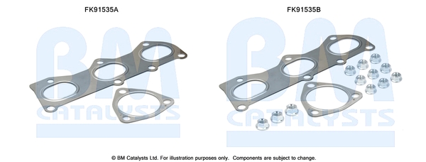 Katalysator montageset Bm Catalysts FK91535