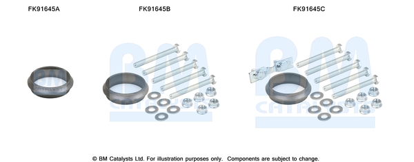 Katalysator montageset Bm Catalysts FK91645