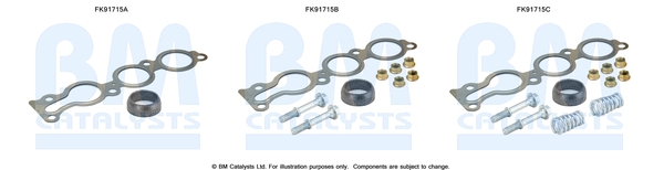 Katalysator montageset Bm Catalysts FK91715