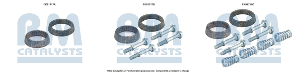 Katalysator montageset Bm Catalysts FK91717