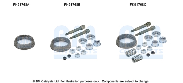 Katalysator montageset Bm Catalysts FK91768