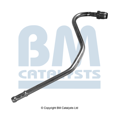 Drukleiding, druksensor (roetfilter) Bm Catalysts PP11248A