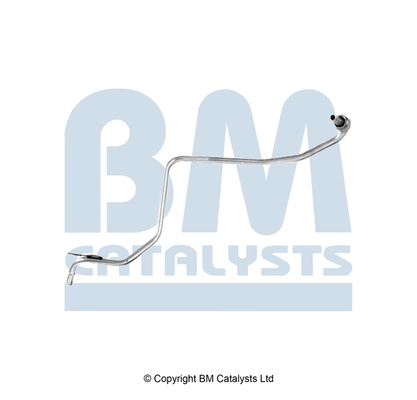 Drukleiding, druksensor (roetfilter) Bm Catalysts PP11582B