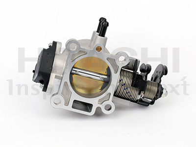 Hitachi Gasklephuis 2508573